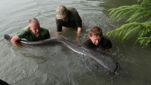 fotogalerie-ffa-00120