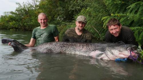 fotogalerie-ffa-00121