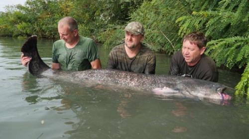 fotogalerie-ffa-00122