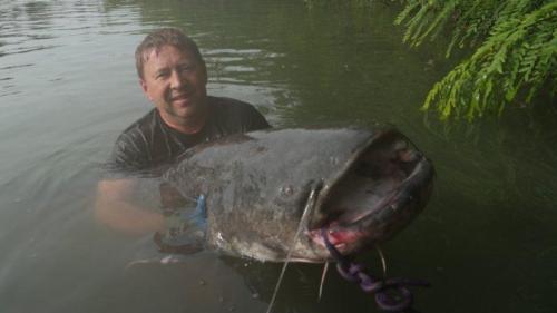 fotogalerie-ffa-00123