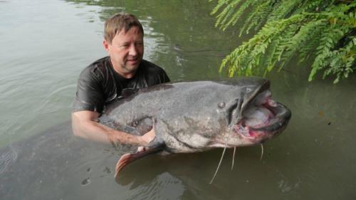 fotogalerie-ffa-00124