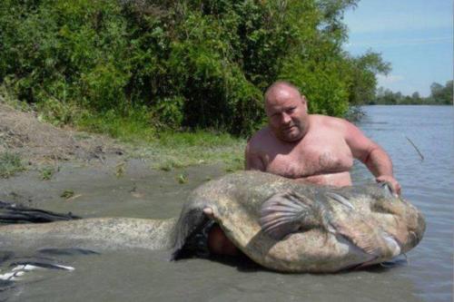 fotogalerie-ffa-00128