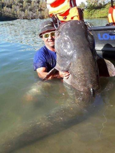 fotogalerie-ffa-00131