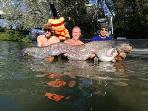 fotogalerie-ffa-00133