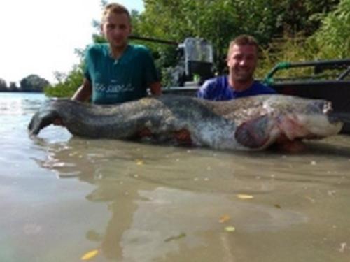 fotogalerie-ffa-00134