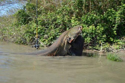 fotogalerie-ffa-00135