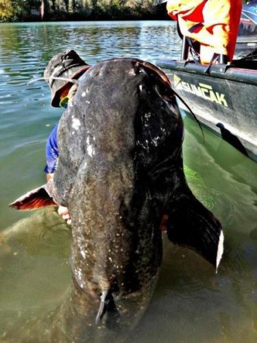 le-rhone-photo-ffa-02