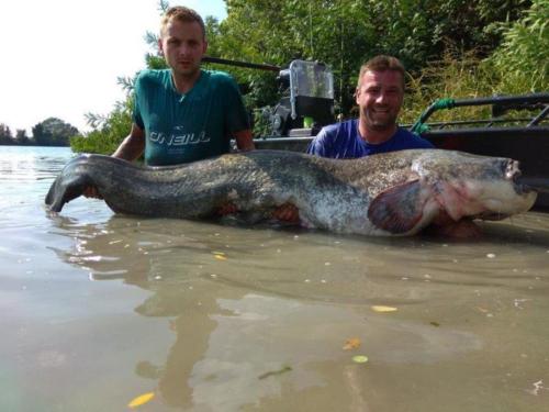 le-rhone-photo-ffa-08