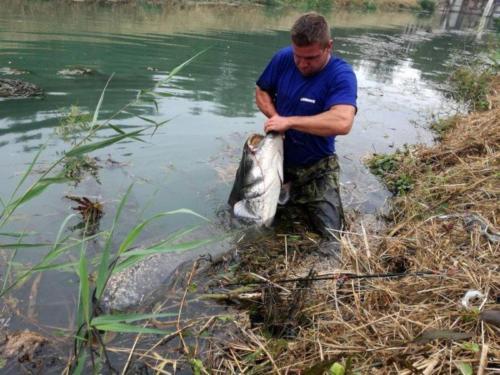 le-rhone-photo-ffa-11