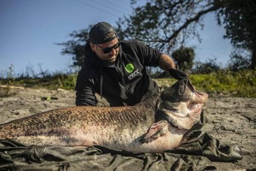 seafishing-france-img-210404