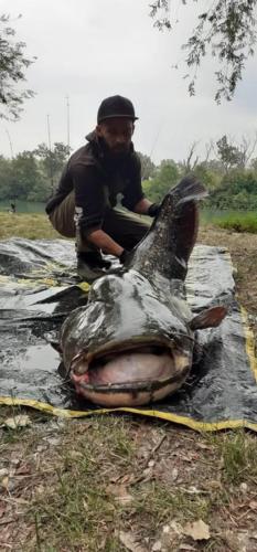 seafishing-france-img-210406