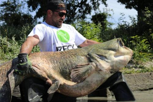 seafishing-france-img-210409
