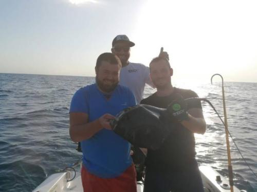 seafishing-france-img-2104103