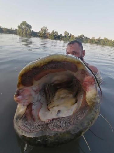 seafishing-france-img-2104106