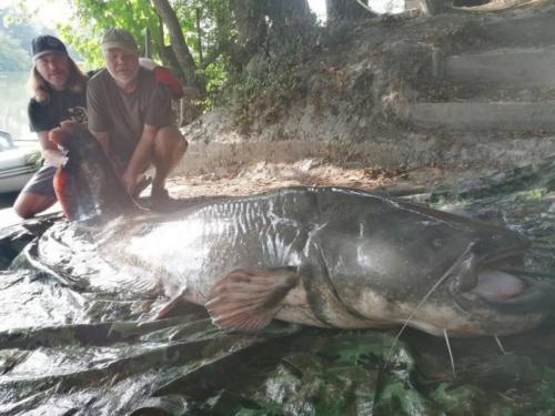 seafishing-france-img-2104114