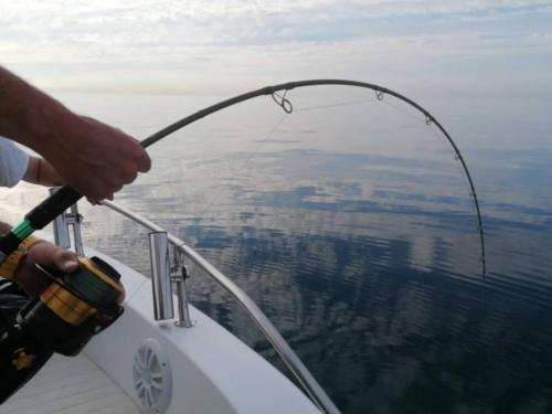 seafishing-france-img-2104118