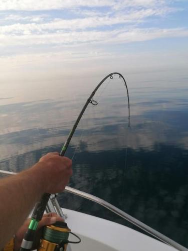 seafishing-france-img-2104119