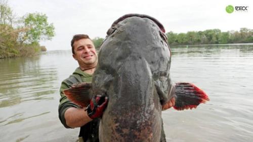 seafishing-france-img-210412