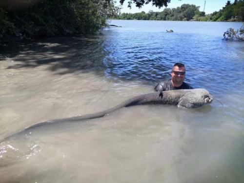 seafishing-france-img-210413