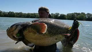 seafishing-france-img-2104145