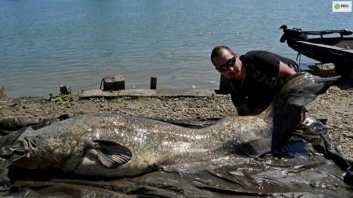 seafishing-france-img-2104149