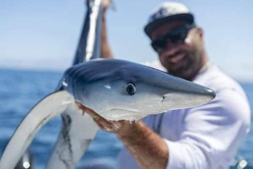 seafishing-france-img-2104151