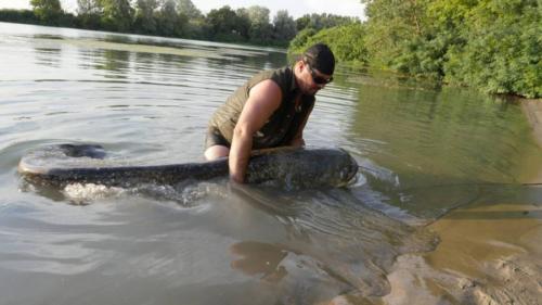 seafishing-france-img-210416