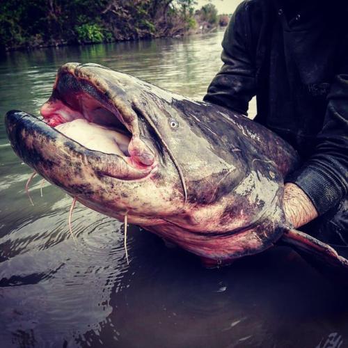 seafishing-france-img-210417