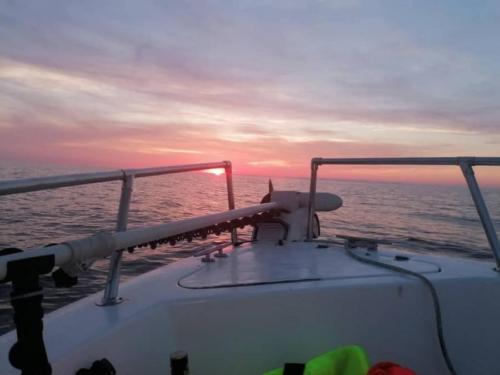 seafishing-france-img-2104170