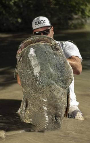seafishing-france-img-2104179