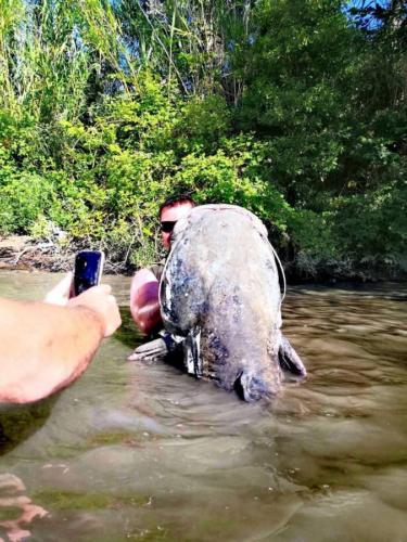 seafishing-france-img-2104181