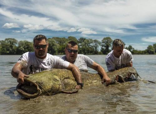 seafishing-france-img-210421