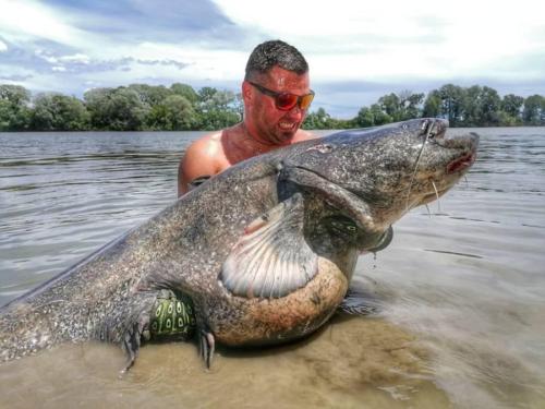 seafishing-france-img-210422