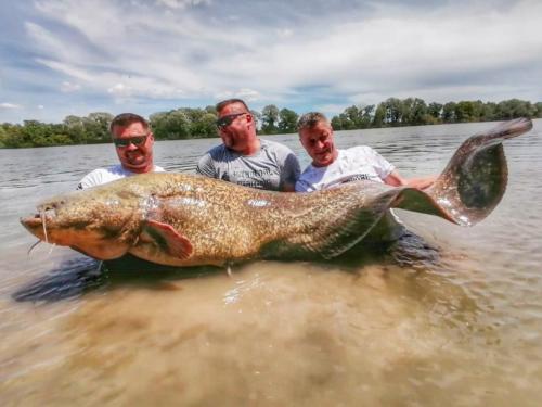 seafishing-france-img-210423
