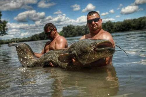 seafishing-france-img-210426