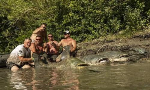 seafishing-france-img-210429
