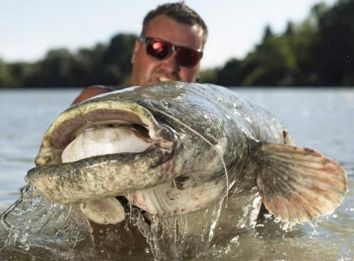 seafishing-france-img-210430