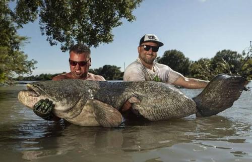 seafishing-france-img-210433
