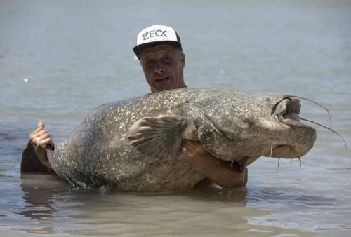 seafishing-france-img-210436