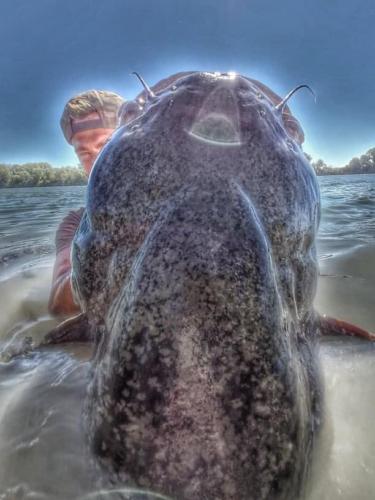 seafishing-france-img-210444