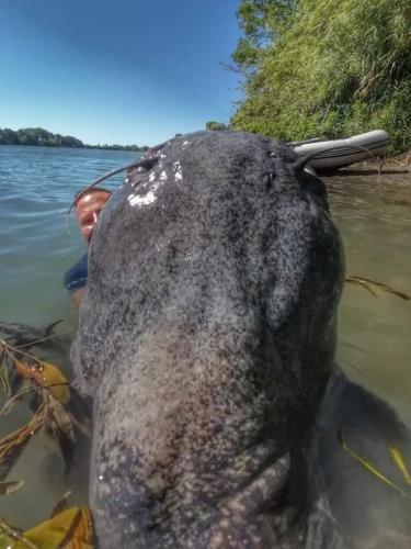 seafishing-france-img-210446