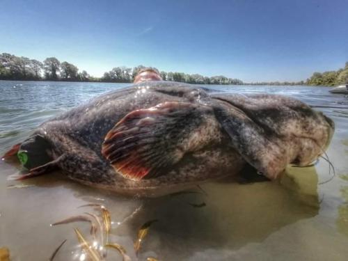 seafishing-france-img-210448