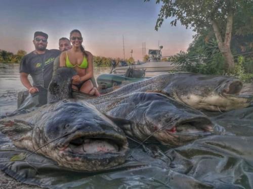 seafishing-france-img-210458