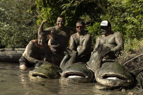 seafishing-france-img-210469