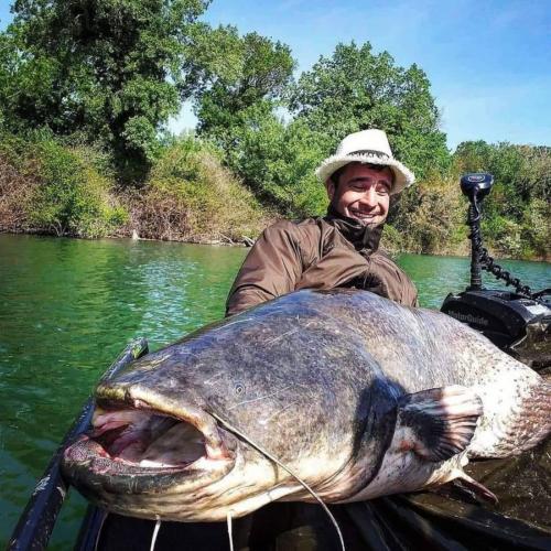 seafishing-france-img-210477