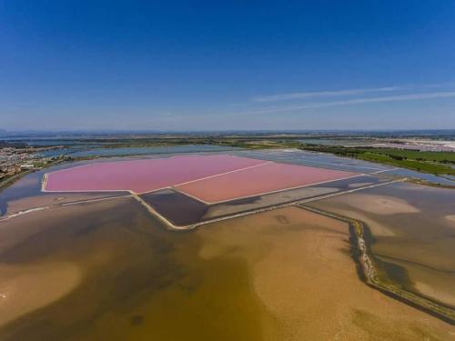 seafishing-france-img-210509