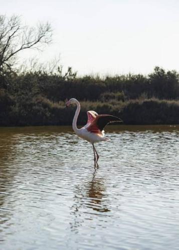 seafishing-france-img-210514