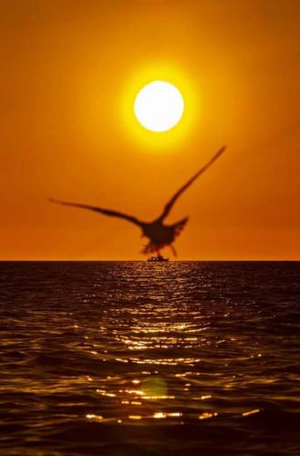 seafishing-france-img-210515