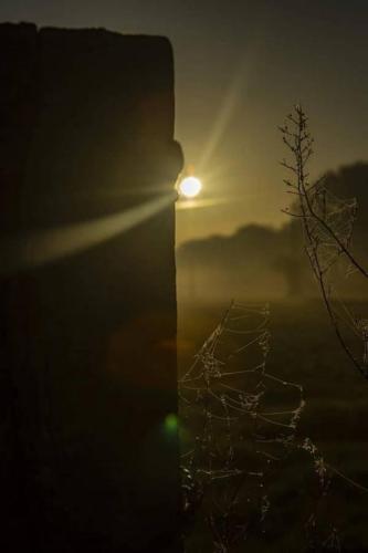 seafishing-france-img-210519