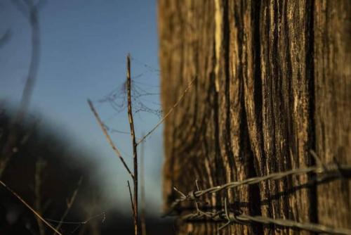 seafishing-france-img-210523